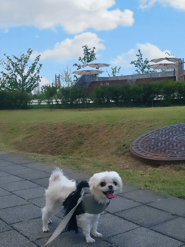 🐾강아지의 천국 부산시민공원🌳