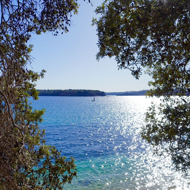 澳洲最古老漁村 - 沃森灣 Watson Bay