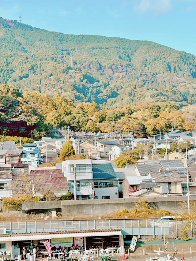 아름다운 일본 여행지🇯🇵Shizuoka