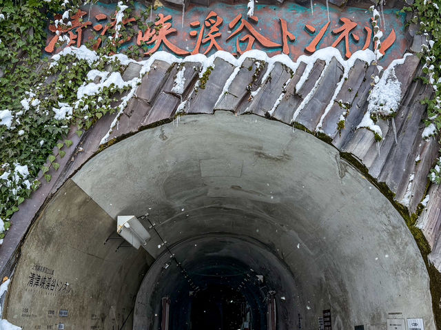 日本|雪國新瀉~越後湯澤•清津峽鏡池