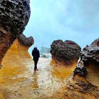 Taiwan’s Hidden Gems: Chasing Cherry Blossoms & Coastal Wonders