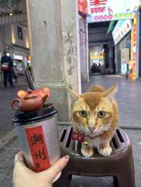 廣東潮州（孝親版本）｜2天1夜吃喝行程