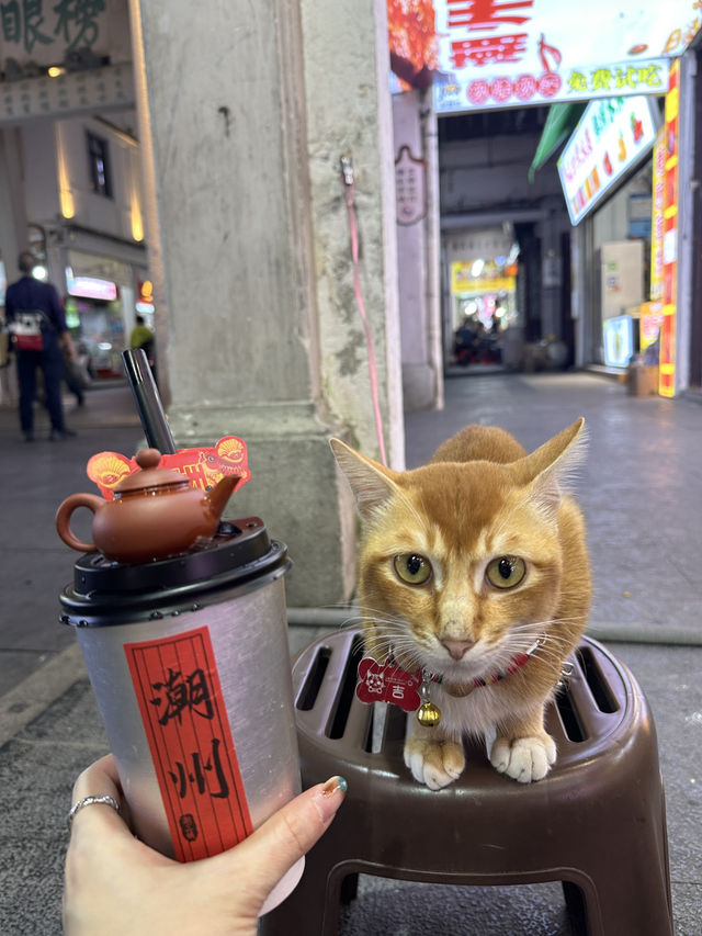 廣東潮州（孝親版本）｜2天1夜吃喝行程