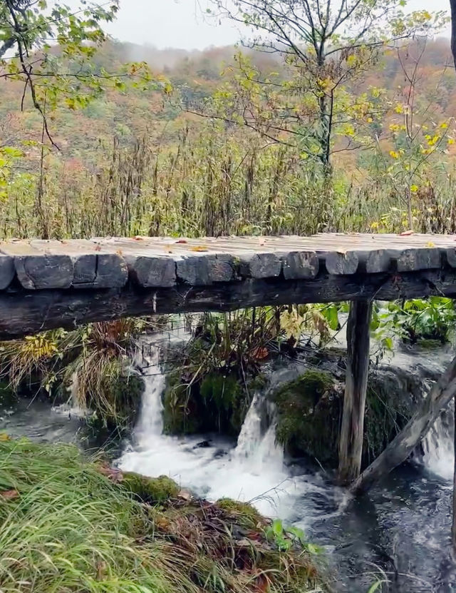 Breathtaking Journey Through Plitvice Lakes National Park