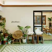 The Culinary Sanctuary: De Mier Eat & Stay