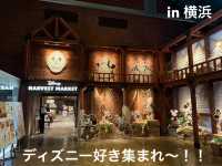 【横浜🇯🇵】Disney HARVEST MARKET