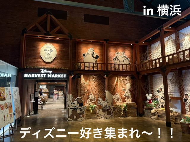 【横浜🇯🇵】Disney HARVEST MARKET