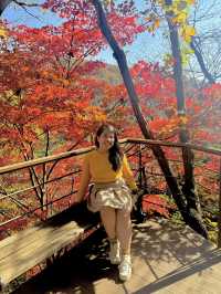My Ultimate Hwadam Day Trip Itinerary Guide