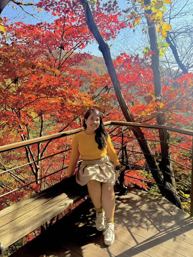 My Ultimate Hwadam Day Trip Itinerary Guide