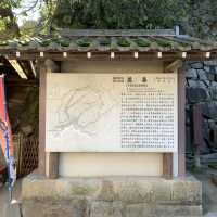 Deer-ly Loved Miyajima: A Day Trip to Remember! 