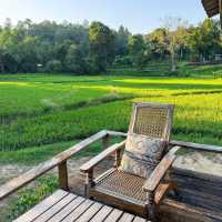 ”เนินแจ่มใส“ ที่พักกลางหุบเขาสุดชิล #เชียงใหม่ 🏠🍃
