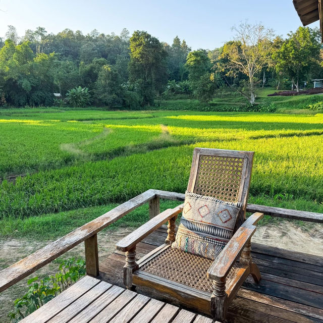 ”เนินแจ่มใส“ ที่พักกลางหุบเขาสุดชิล #เชียงใหม่ 🏠🍃