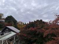 高尾山で紅葉狩り@東京・八王子🍁