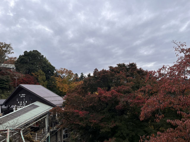 高尾山で紅葉狩り@東京・八王子🍁