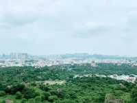 Golconda Fort – A Breathtaking View from the Top