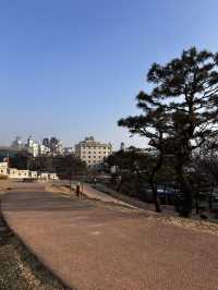 동대문역의 도심속 너무나도 조용한 쉼터 흥인지문공원🇰🇷