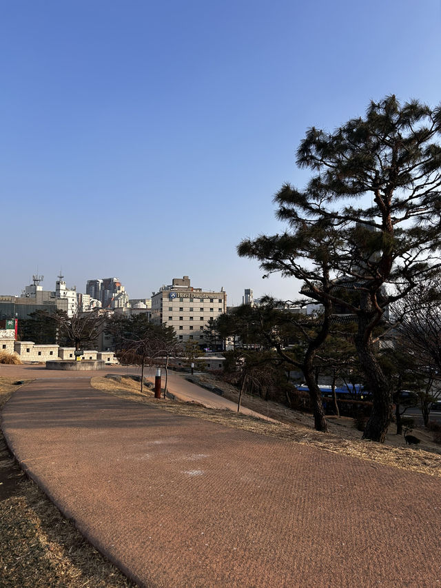 동대문역의 도심속 너무나도 조용한 쉼터 흥인지문공원🇰🇷
