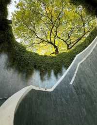 Fort Canning Tree Tunnel