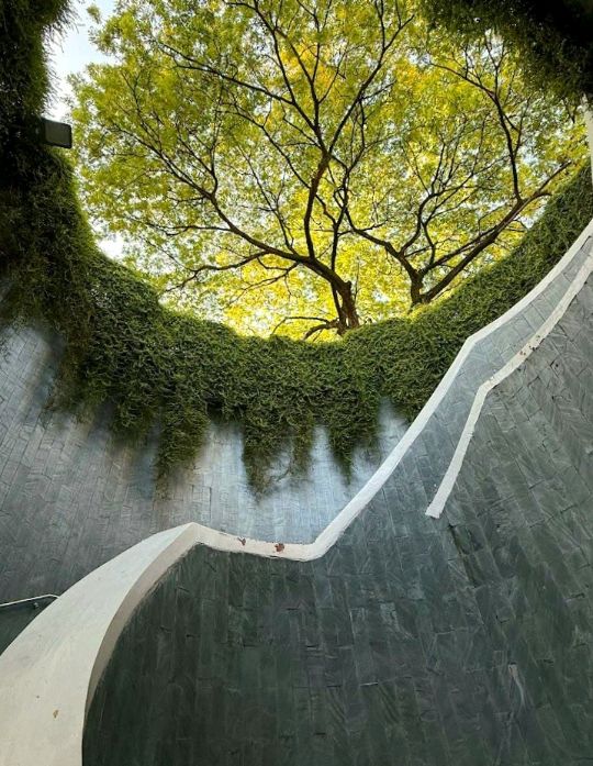 Fort Canning Tree Tunnel