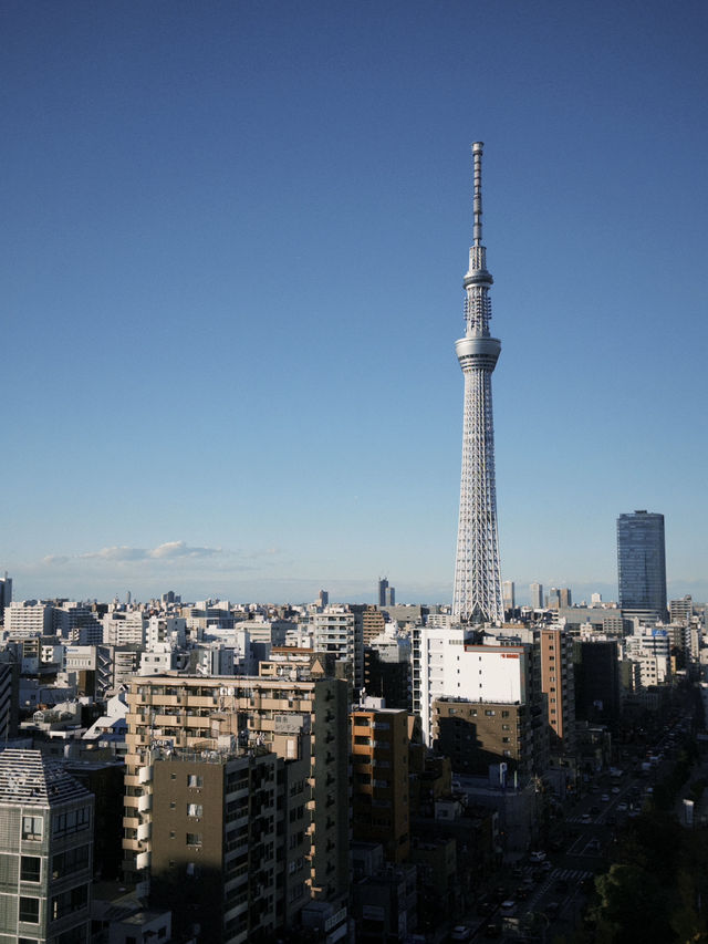 高空中觀賞晴空塔！樂天熊仔餅酒店！#東京酒店