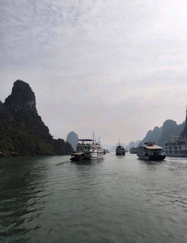 Ha Long Bay: Island Hopping & Cave Discoveries