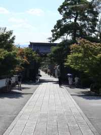 Summer Serenity at Eikando Temple: A Hidden Kyoto Gem