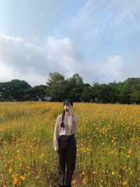 곡성