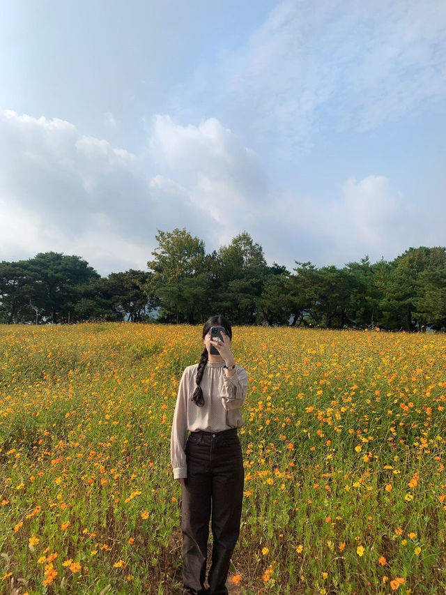 곡성