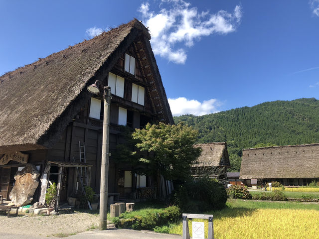 【岐阜】白川郷で秋満喫プラン