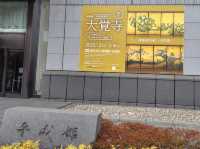 広すぎてびっくり‼️ 【東京国立博物館 平成館】