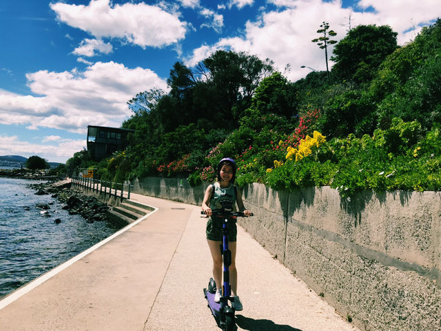 4-Day Tasmania Itinerary: Mountains, Wildlife & Lavender Fields 💜