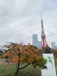 東京芝公園的奇妙之旅 🌸