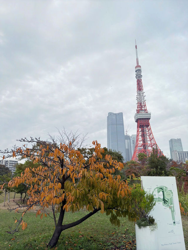 東京芝公園的奇妙之旅 🌸