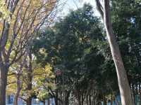 Kinuta Park (砧公園)