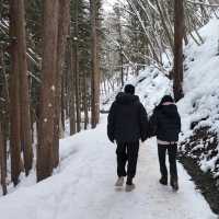 【日本】長野•地獄谷野猿公苑の歩き方