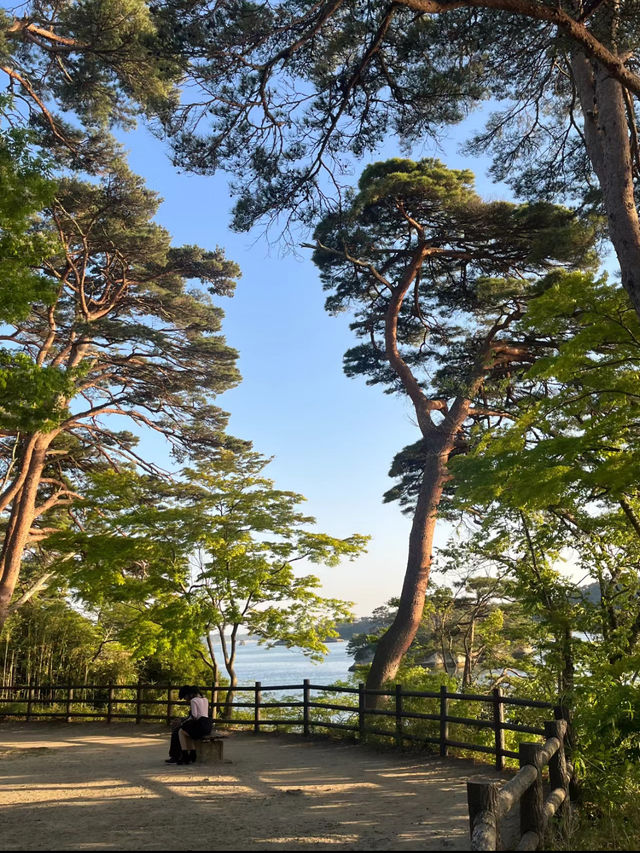 🌉 Songdo Sky Park – A Scenic Escape Above Busan 🌊