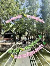 หลงป่าคาเฟ่🌲 กลางเมือง สงขลา