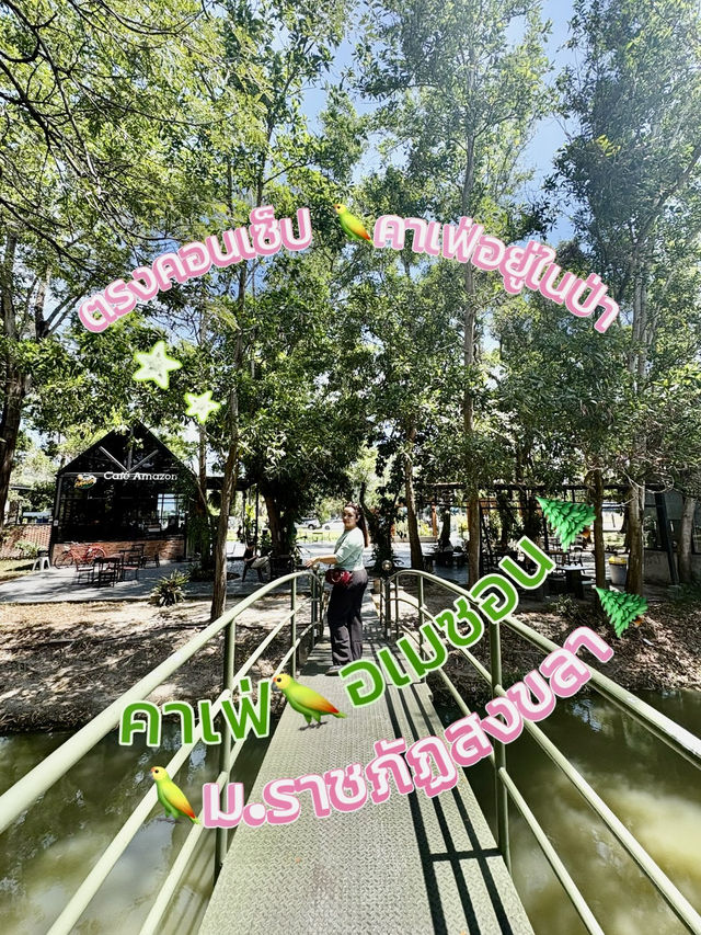 หลงป่าคาเฟ่🌲 กลางเมือง สงขลา