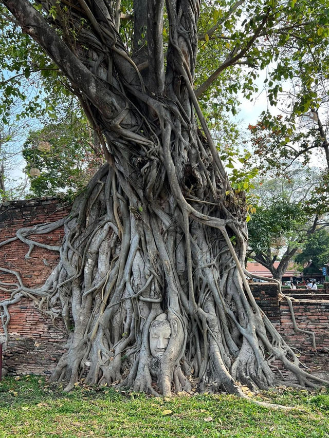 Time Stands Still: The Timeless Beauty of Wat Mahathat