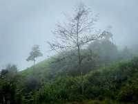 ภูสอยดาวหน้าฝน กับทุ่งหญ้าเขียวขจี 🌧️🍃