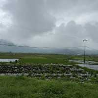 Sembalun Lawang 2 Days Travel Guide 