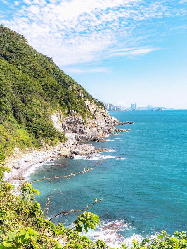 부산 여행 가볼만한 곳 태종대 유원지🌊🌿