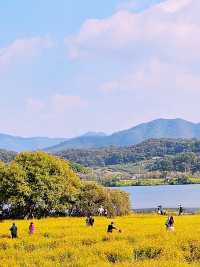 Muljeongwon Flower Festival Review – Namyangju