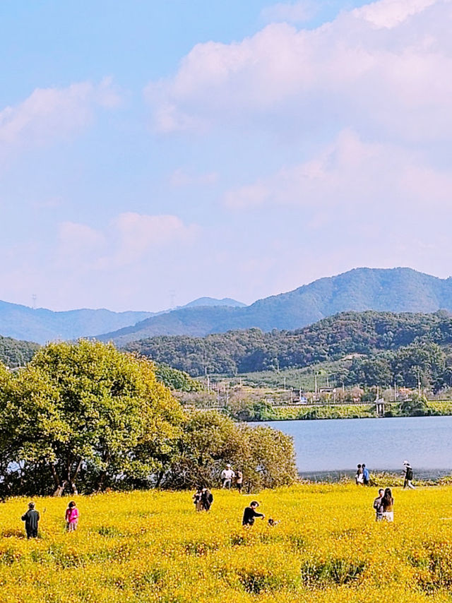 Muljeongwon Flower Festival Review – Namyangju