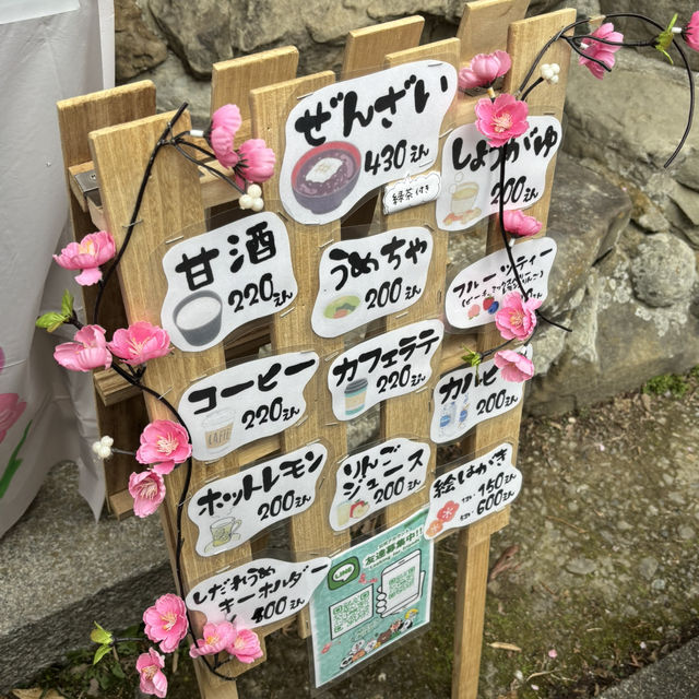 ちょっと早かったみたいですが綺麗でした❤️