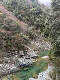 ♨️徳島の秘境宿　ケーブルカーで行く源泉掛け流し露天風呂【ホテル祖谷温泉】
