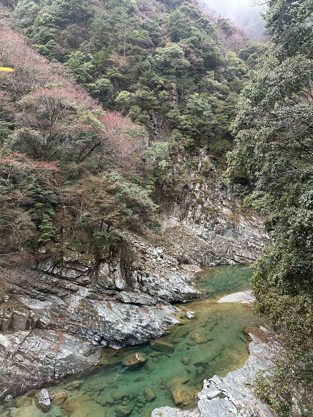 ♨️徳島の秘境宿　ケーブルカーで行く源泉掛け流し露天風呂【ホテル祖谷温泉】