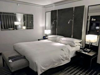 InterContinental Sydney Double Bay Beach in the Affluent Area of Sydney
