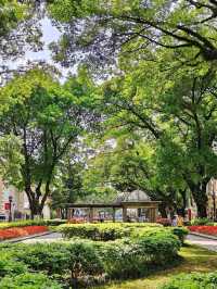 Discover the charm of Shamian Island in Guangzhou! 🏝️