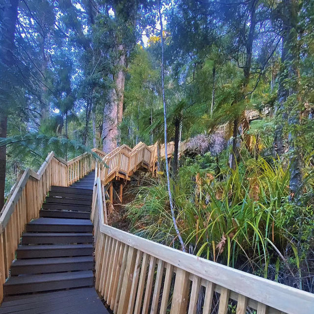千瀧溝大瀑布•青山秀水